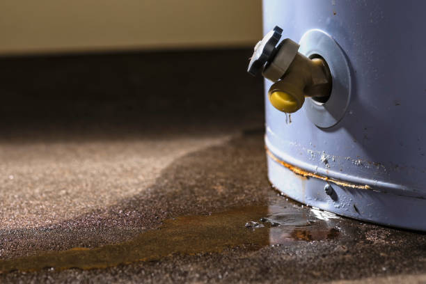 Best Water damage restoration near me  in Garden Home Whitfd, OR