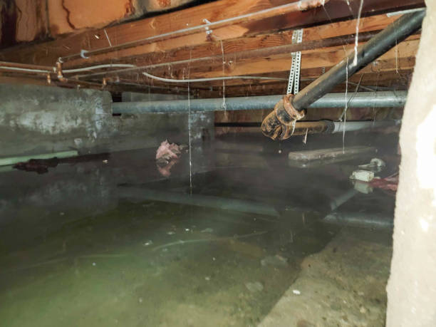 Best Flood restoration services  in Garden Home Whitfd, OR