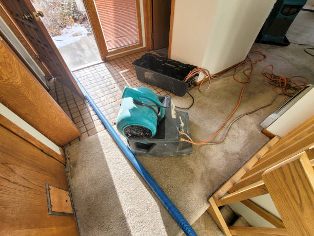 Best Fire Damage Restoration  in Garden Home Whitfd, OR