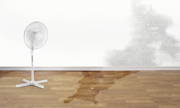Best Local water damage restoration  in Garden Home Whitfd, OR